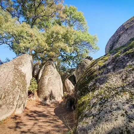 Apartamento Comfort Blue